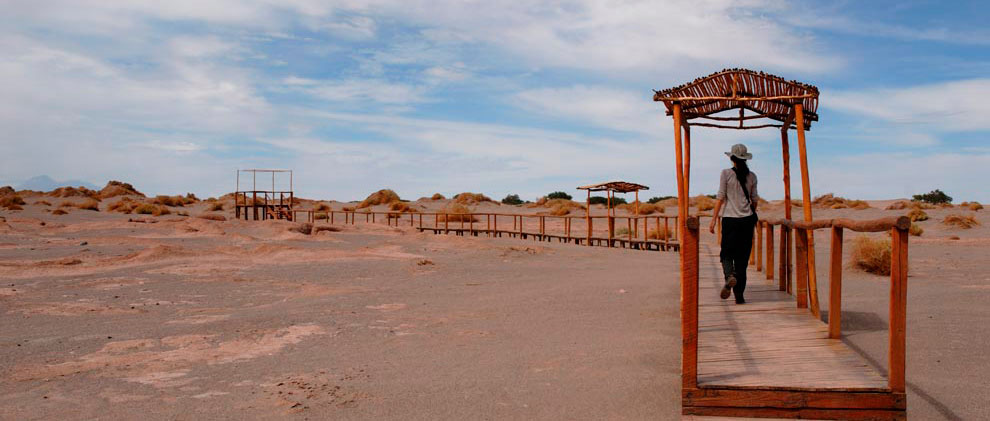 Atacama Salt Flat, Aldea de Tulor- Chile - AndesCampers